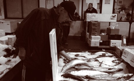 Nozawa at Fish Market 2